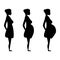 Pregnant women in the three trimesters.