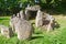 Prehistiric Dolmen in Normandy