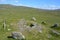 Prehistoric burial chamber Dartmoor National Park, Devon, UK