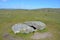 Prehistoric burial chamber Dartmoor National Park, Devon, UK