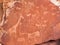 Prehistoric Bushman engravings at Twyfelfontein in Namibia