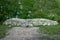 Prehistoric Clava Cairns near Culloden