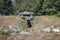 Prehistoric Dolmen in Galicia