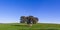 Prehistoric dolmen under a Cork Oak