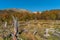 Prehistoric landscape in Patagonia, South America