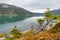 Prehistoric landscape in Patagonia, South America