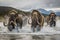 Prehistoric mammoth, an ancient giant of the ice age, symbolizing the wilderness and grandeur of prehistoric times, a