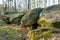 Prehistoric megalith dolmen Kuechentannen near Haldensleben in Germany