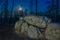 Prehistoric megalith dolmen Teufelskueche devils kitchen with full moon