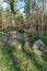 Prehistoric megalith stones near Haldensleben in Germany