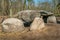 Prehistoric megalith tomb Teufelskueche near Haldensleben