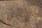 Prehistoric rock painting in the red sand desert Wadi Rum, Jordan