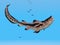 Prehistoric shark Edestus