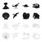 Prehistoric shell, dinosaur eggs,pterodactyl, mammoth. Dinosaur and prehistoric period set collection icons in black