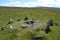 Prehistoric stone circle, Dartmoor National Park, Devon,