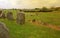 Prehistoric stone circles, Northern Ireland