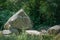 The prehistoric stones and megalith monuments at Lancken Granitz