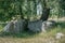 The prehistoric stones and megalith monuments at Lancken Granitz