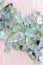 Prehnite jewel heap up on light wood