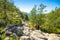 Preikestolen, Norway - 30.06.2018: Peole on Hiking footpath to the Preikestolen and Lysefjord area, Norway