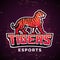Premade tiger mascot vector. Sport logo design template. Football or baseball illustration. College league insignia