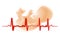 Premature Baby Fetus Electrocardiogram