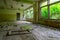 Premises of abandoned school in resettled village of Pogonnoe in exclusion zone of Chernobyl nuclear power plant, Belarus