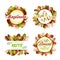 Premium Colorful Natural Nuts Labels Set