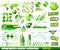 Premium Eco Green infographics master collection: