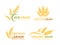 Premium grain flat vector logotype designs set. Organic cereal crops, natural product advertising. Ripe wheat ears