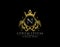 Premium Royal King N Letter Crest Gold Logo template