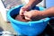 Preparation of anchovies at the fish market