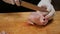 Preparation for cooking. The chef cutting the quail