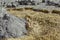 Preparation of dry cement-sand mixture on the background of disassembled granite pavers. Pile of gray dry cement in the middle of