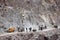 Preparation for explosive works on construction of Srinagar â€“ Leh road