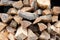 Preparation of firewood for the winter. Stacks of firewood. Pile of firewood