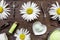 Preparation for manicure with chamomile on dark wooden background top view