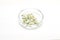 Preparation of perfumes from natural ingredients, aromatherapy. Fresh white flowers in a petri dish