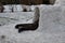 Preparation for the polar expedition, sleeping and survival in the igloo. The man is lying in a snow house and his feet in leather