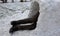 Preparation for the polar expedition, sleeping and survival in the igloo. The man is lying in a snow house and his feet in leather