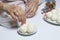 Preparation of Raffaello sweets at home.