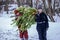 Preparation for Rozhdetsv. Two brothers carry a large Christmas tree from the forest home along a rural road. Winter