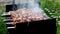 Preparation of a shish kebab