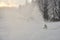 Preparation of ski slopes at beginning of winter in fir forest