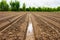 Preparation soil for cultivation vegetable