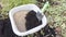 Preparation of soil mixture from fertile compost, humus and vermiculite in a white container in the garden. Mixing the soil