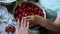 Preparation of strawberry jam. hands of an old woman clean berries from leaves, stalks. hand of a young woman reaches
