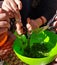 Preparations for field cooking - kids hands cutting edible plants in a bowel