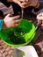 Preparations for field cooking - kids hands cutting edible plants in a bowel