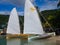 Preparations for a race using traditional caribbean dinghies